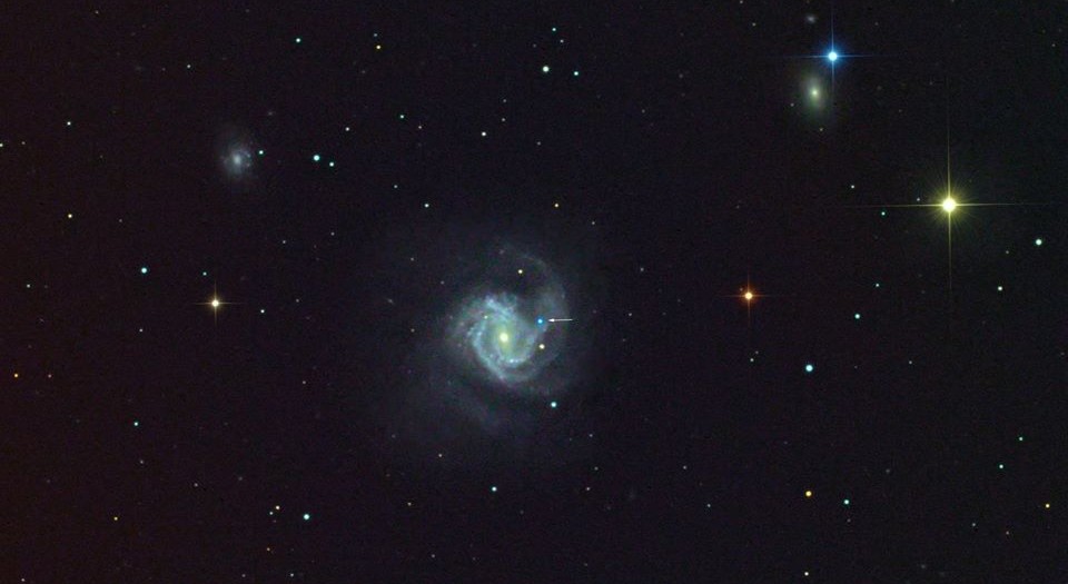 1) SN2020jfo_M61 Ligustri