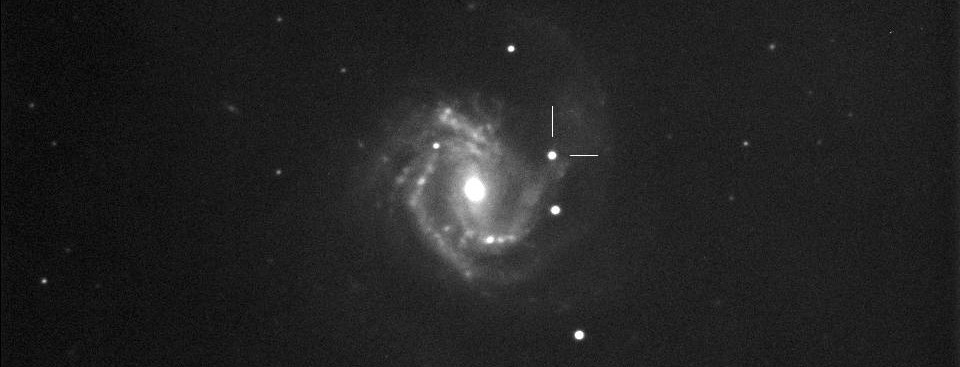 3) SN2020jfo_M61 Campaner