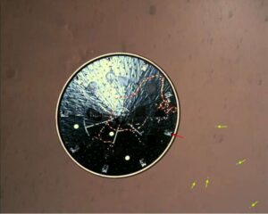 Perseverance-HeatShield_images_articoli_2021_thumb_other800_0