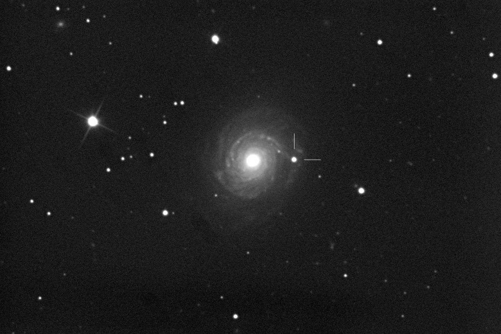 2) SN2021hpr_NGC3147_Campaner