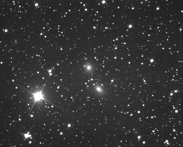 5) SN2021wuf_NGC6500 Campaner_600_pixel