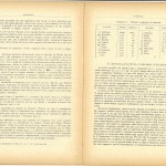 pag2 1955 ridotta