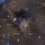 IC 427 cartellini