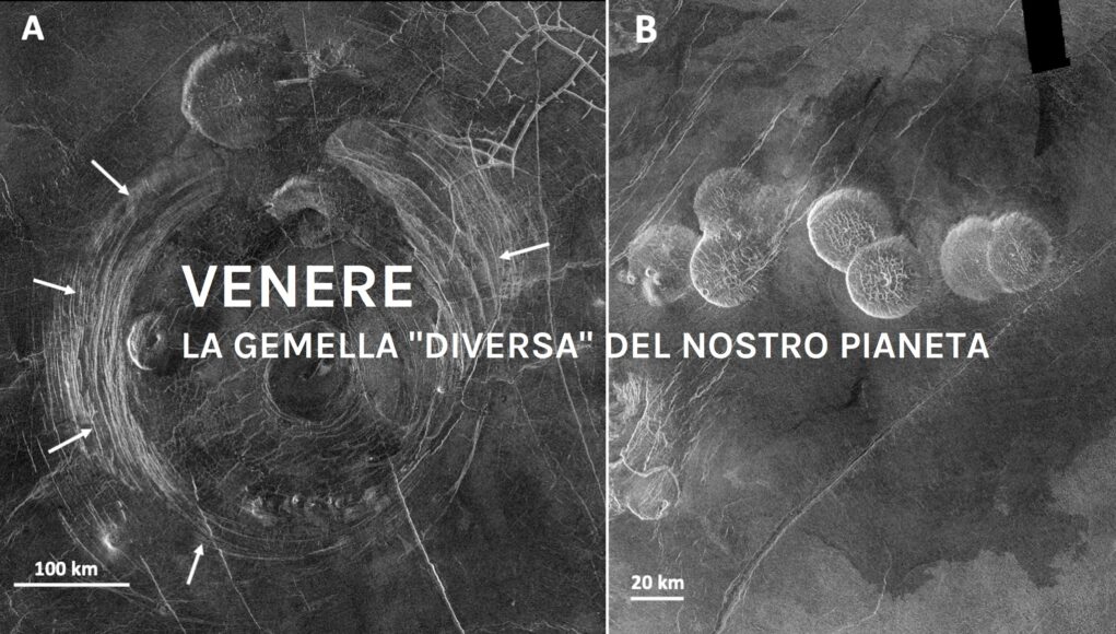MARINANGELI Venere n. 255