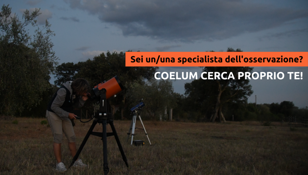 Sei ununa specialista dell'osservazione