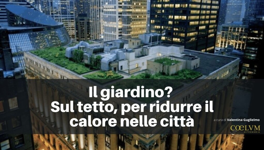 Il giardino Sul tetto, per ridurre il calore nelle città