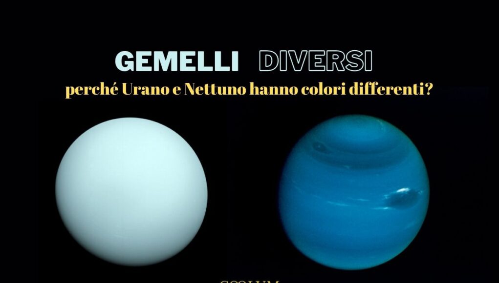 gemelli DIVERSI