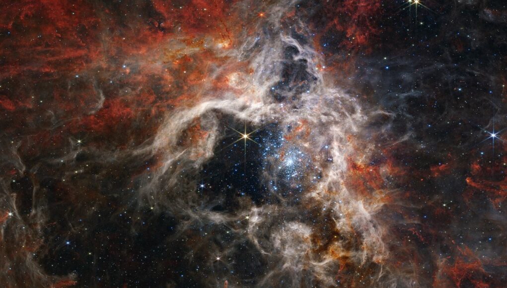 Tarantula Nebula (NIRCam Image)