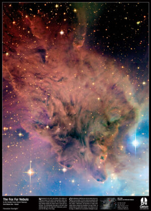 Poster Astronomia Fox Fur Nebula - Nebulosa Pelliccia di Volpe