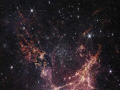 Webb della NASA scopre la formazione stellare nei nastri polverosi di Cluster
