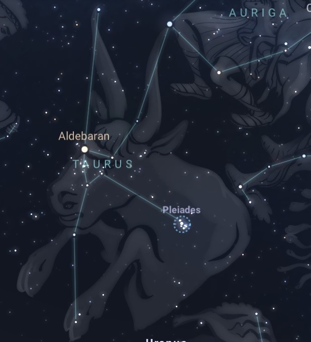 la costellazione del toro