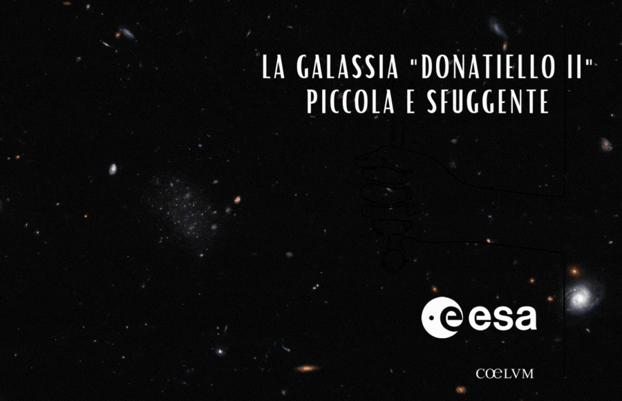 GALASSIA DONATIELLO