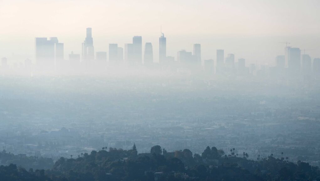 1-MAIA-Los-Angeles-16.width-1320