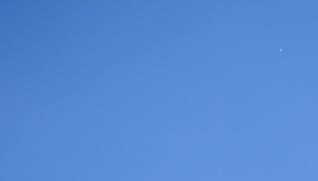 230301_Venere_Giove_1453_LT