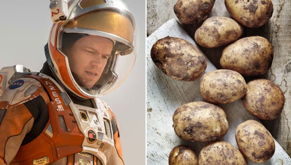 TheMartianPotatoesMarsMain