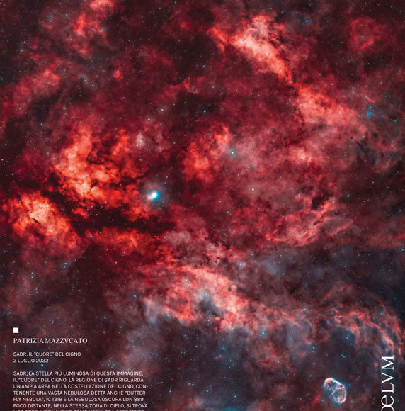 PhotoCoelum_263-4