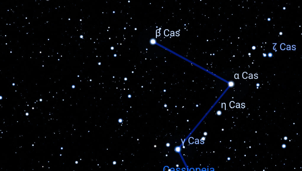 cassiopea