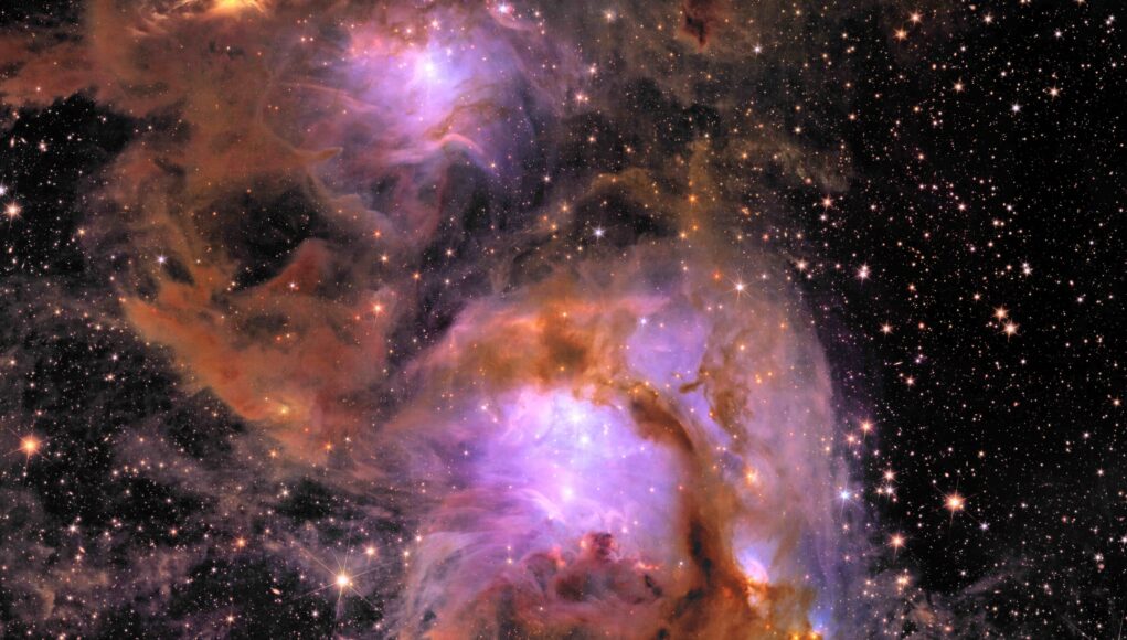 Euclid_s_new_image_of_star-forming_region_Messier_78 Euclid Messier 78