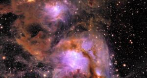 Euclid Messier 78
