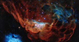 astrofisica ngc2020 e ngc2014