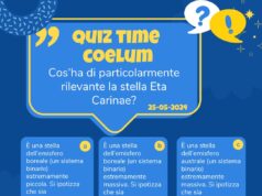 Quiz Time Coelum