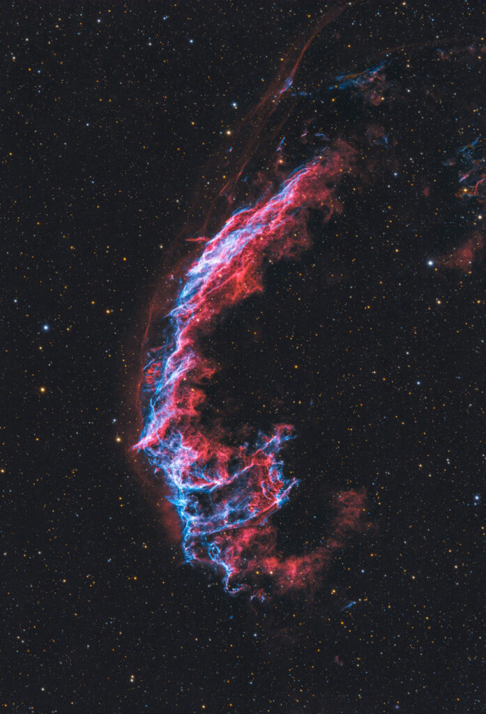 Costellazione del Cigno