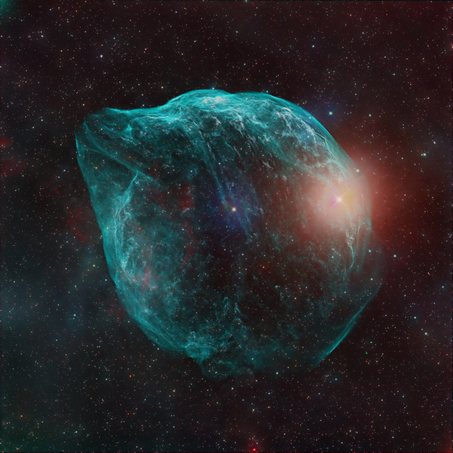 ShaRA#8.1 – Il Delfino Bertocco