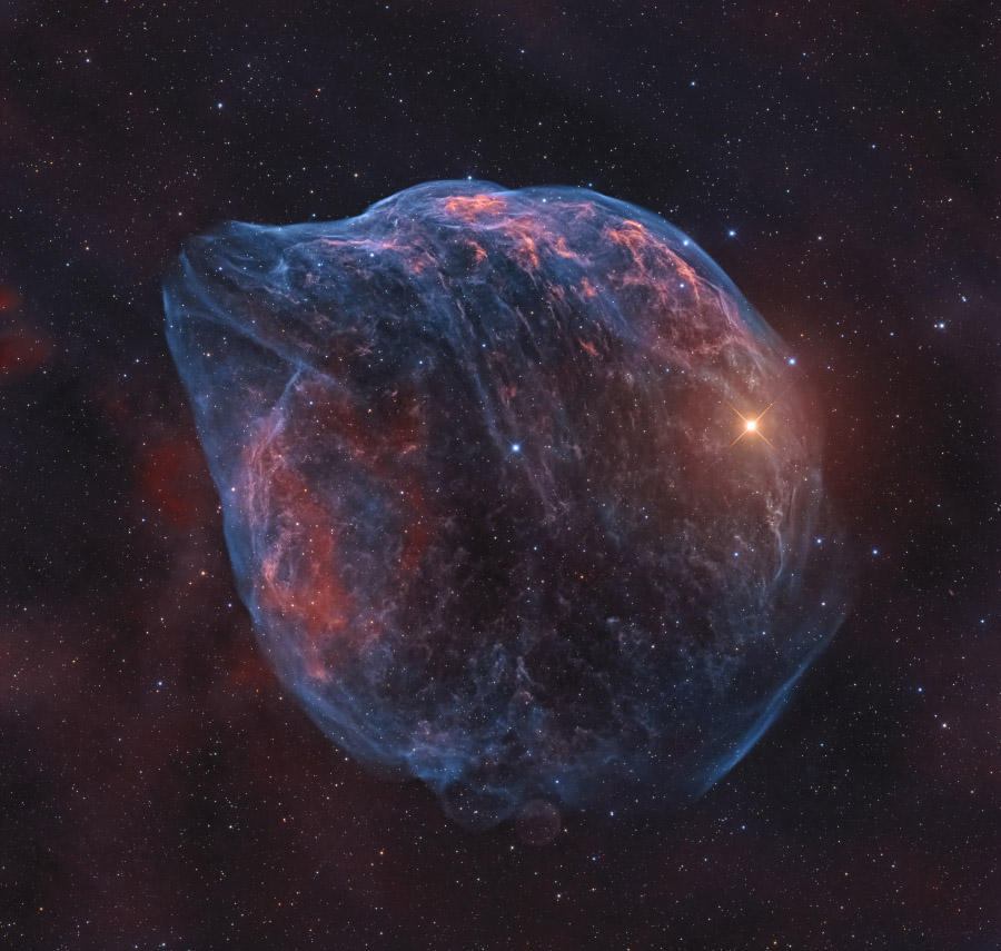 ShaRA#8.1 – Il Delfino DiFusco