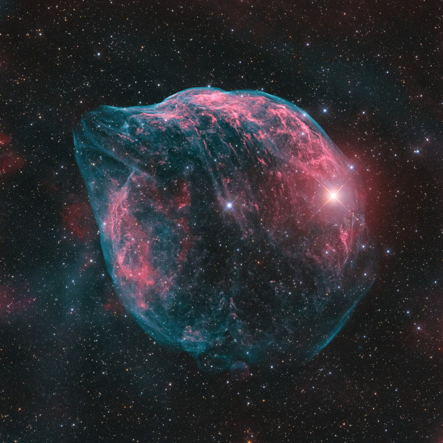 ShaRA#8.1 – Il Delfino Iorio