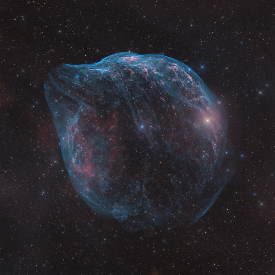 ShaRA#8.1 – Il Delfino Linsalata
