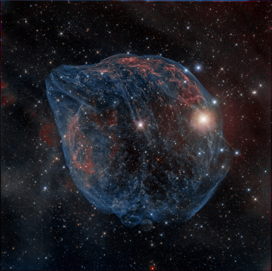 ShaRA#8.1 – Il Delfino Lioce