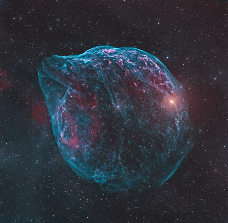 ShaRA#8.1 – Il Delfino Maffioli