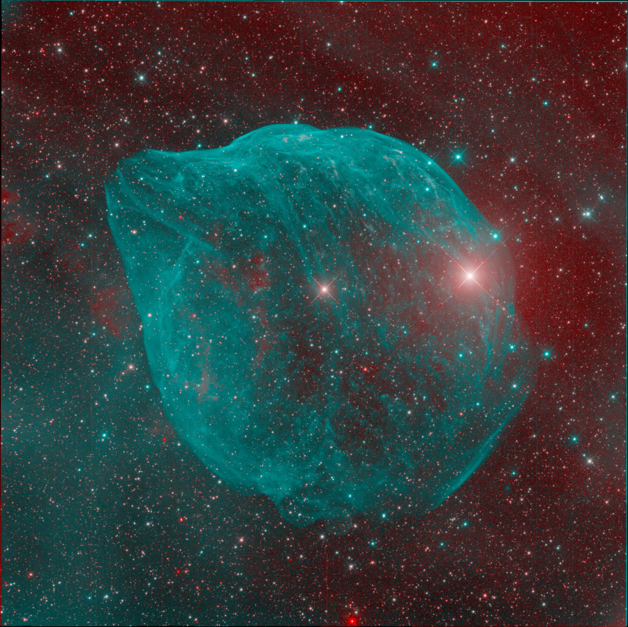 ShaRA#8.1 – Il Delfino Michieletto