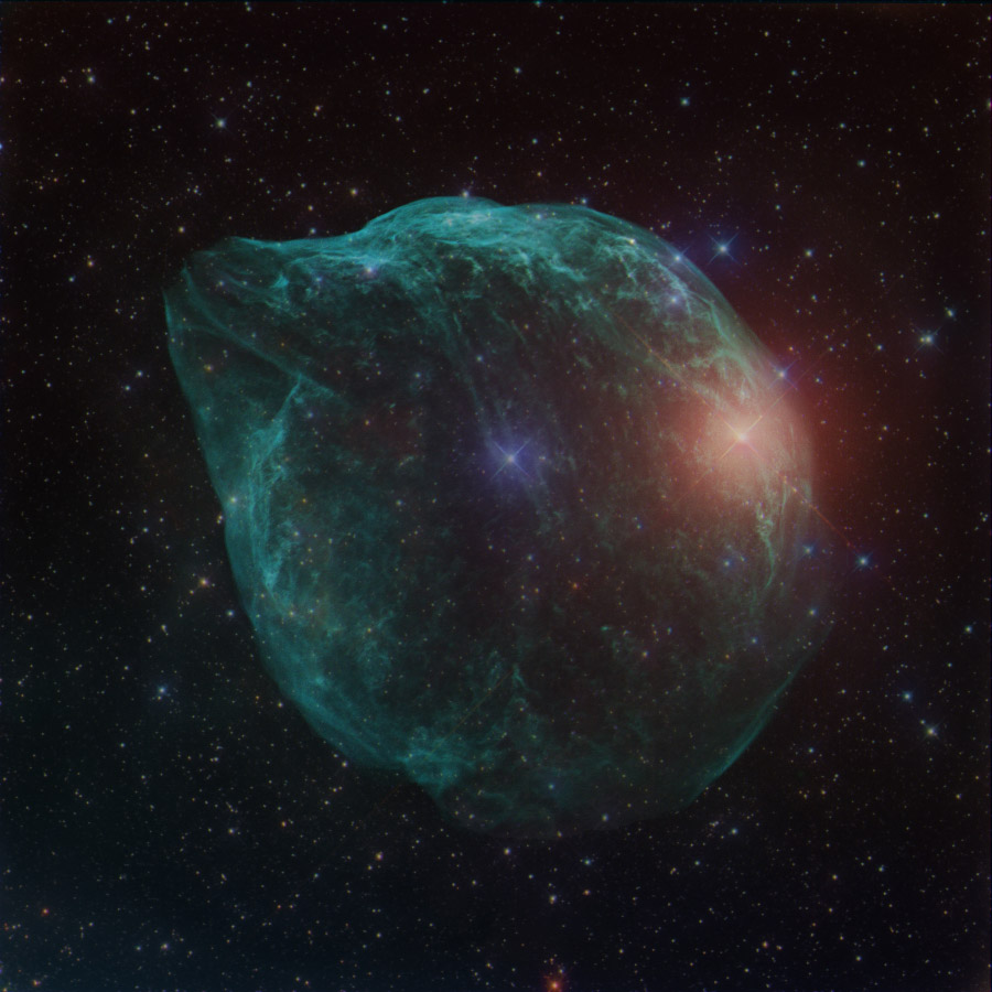ShaRA#8.1 – Il Delfino Trabuio
