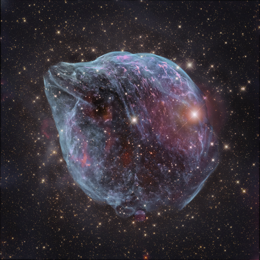ShaRA#8.1 – Il Delfino Vergani