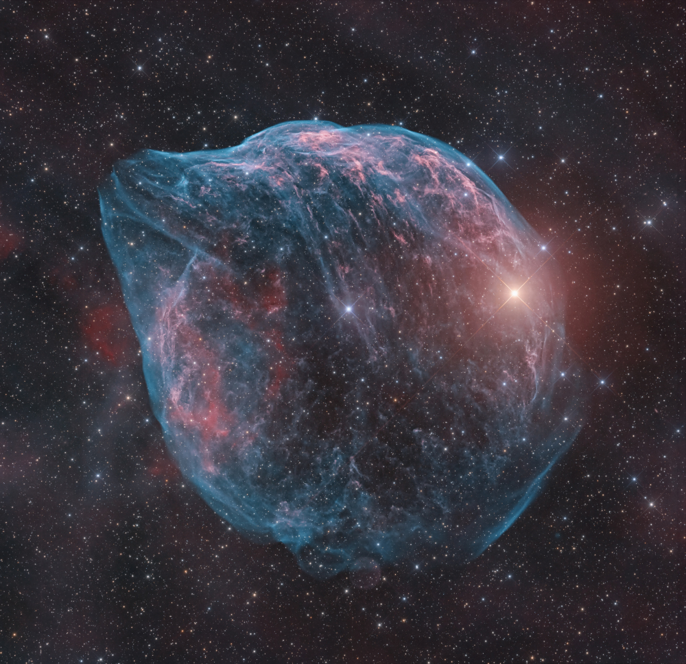 ShaRA#8.1 – Il Delfino