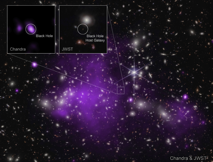 Prime Galassie - JWST e X Chandra
