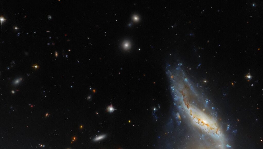 Arp122 Arp 122 immagine Hubble