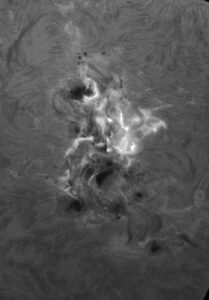 AR3664 in luce bianca, ripresa col C11HD f/10 + Baader Astrosolar + ASI183MM alle 6.35UTC
