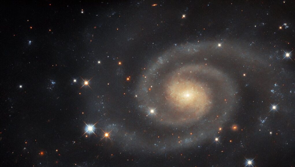 UGC 11105 La ripresa del telescopio Hubble di UGC 11105 circondata da stelle più brillanti.