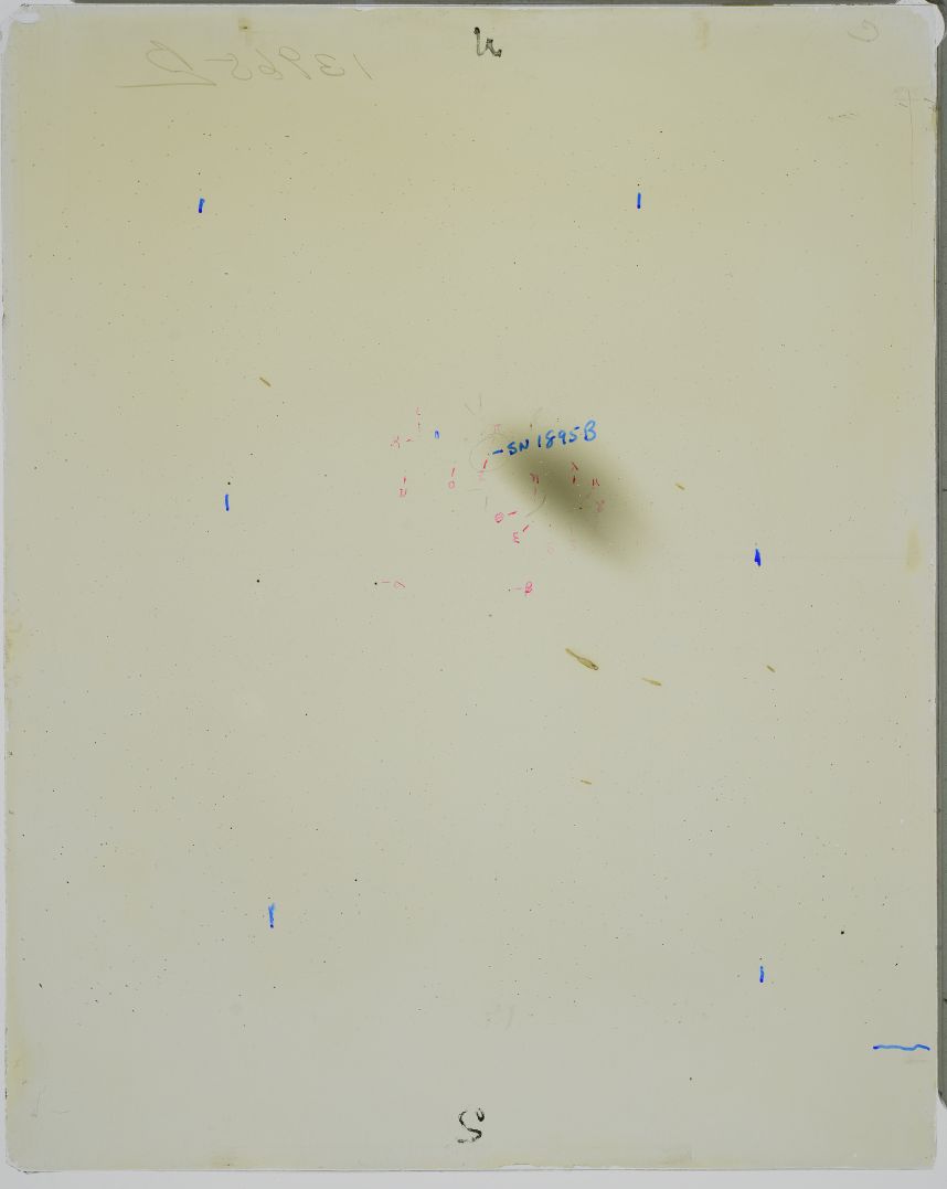 Primissima immagine di scoperta della SN1895B lastra B13965 ottenuta con il Bache Doublet Telescope da 200mm e 10 minuti di posa, realizzata l’8 luglio dalla stazione meridionale dell’ Harvard Observatory ad Arequipa in Perù. Questa immagine fu ottenuta in luce diretta senza il prisma e pertanto è ben visibile sia la galassia ospite NGC5253 che la SN1895B che aveva superato da pochi giorni il massimo di luminosità.