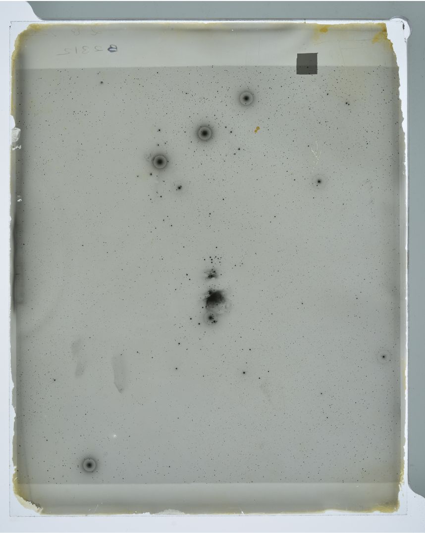 Immagine di scoperta della Nebulosa Testa di Cavallo lastra B02312 ottenuta il 6 febbraio 1888 con il Bache Doublet Telescope da 200mm e 90 minuti di posa.