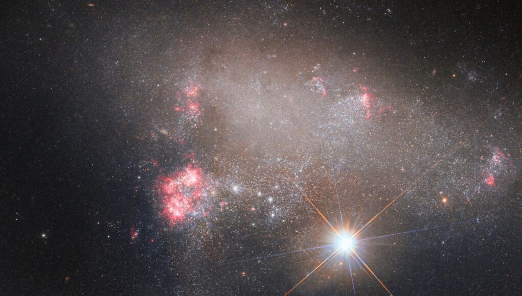 arp 263 copertina