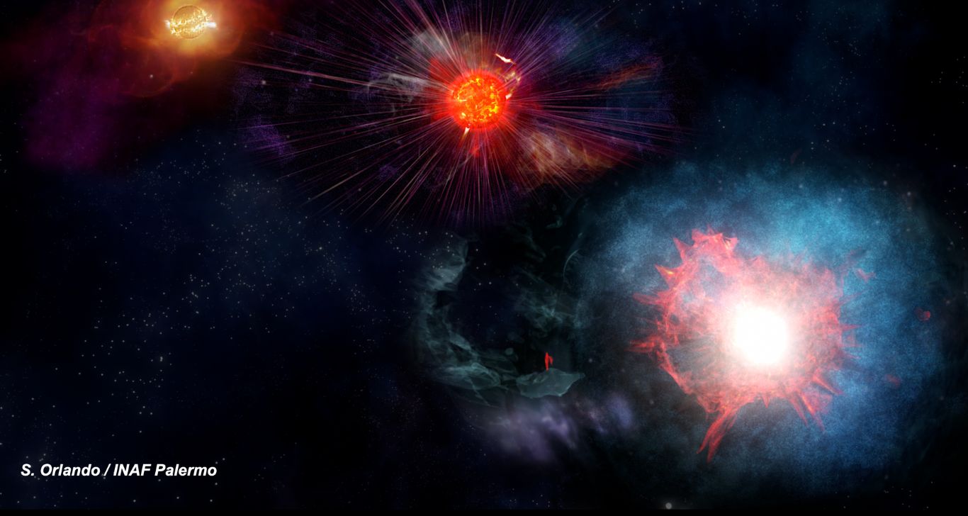 Modelli 3D per le Supernovae