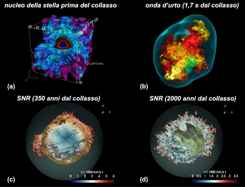 Figura 5. (a) Modello 3D che descrive la struttura della stella nelle regioni prossime al nucleo nei momenti precedenti il suo collasso. Crediti: Yoshida et al. (2021, ApJ 908, 44). (b) Modello 3D che descrive l’evoluzione di una supernova a collasso del nucleo pochi secondi dopo il collasso. Crediti: T.-H. Janka (MPA, Garching, Germania). (c) e (d) Modello 3D che descrive l’evoluzione dalla supernova al suo resto. I due pannelli mostrano la distribuzione di materiale ricco di ferro 350 anni e 2000 anni dopo l’esplosione. Crediti: Orlando et al. (2021, A&A 645, A66).