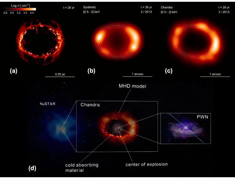 Modello 3D magnetoidrodinamico del resto di supernova SN 1987A