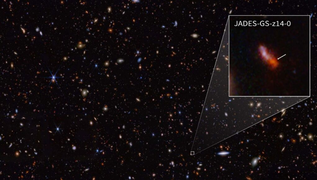 JADES-GS-z14-0 (1) JADES-GS-z14-0 (mostrata nell'estrazione), è stata determinata a un redshift di 14,32 (+0,08/-0,20), il che la rende l'attuale detentrice del record per la galassia più distante conosciuta. Ciò corrisponde a un periodo inferiore a 300 milioni di anni dopo il big bang. Credito: NASA, ESA, CSA, STScI, B. Robertson (UC Santa Cruz), B. Johnson (CfA), S. Tacchella (Cambridge), P. Cargile (CfA).
