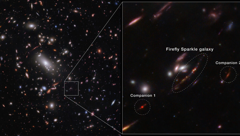Firefly Sparkle Galaxy Inset (NIRCam Image)