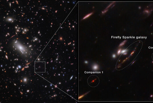 Firefly Sparkle: Una Galassia Primordiale Studiata dal JWST