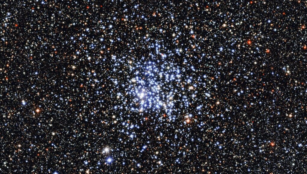 M11